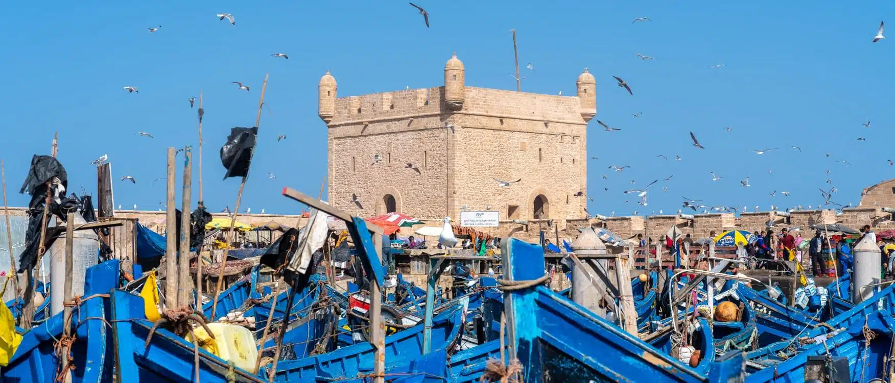 Essaouira_boats and ramparts