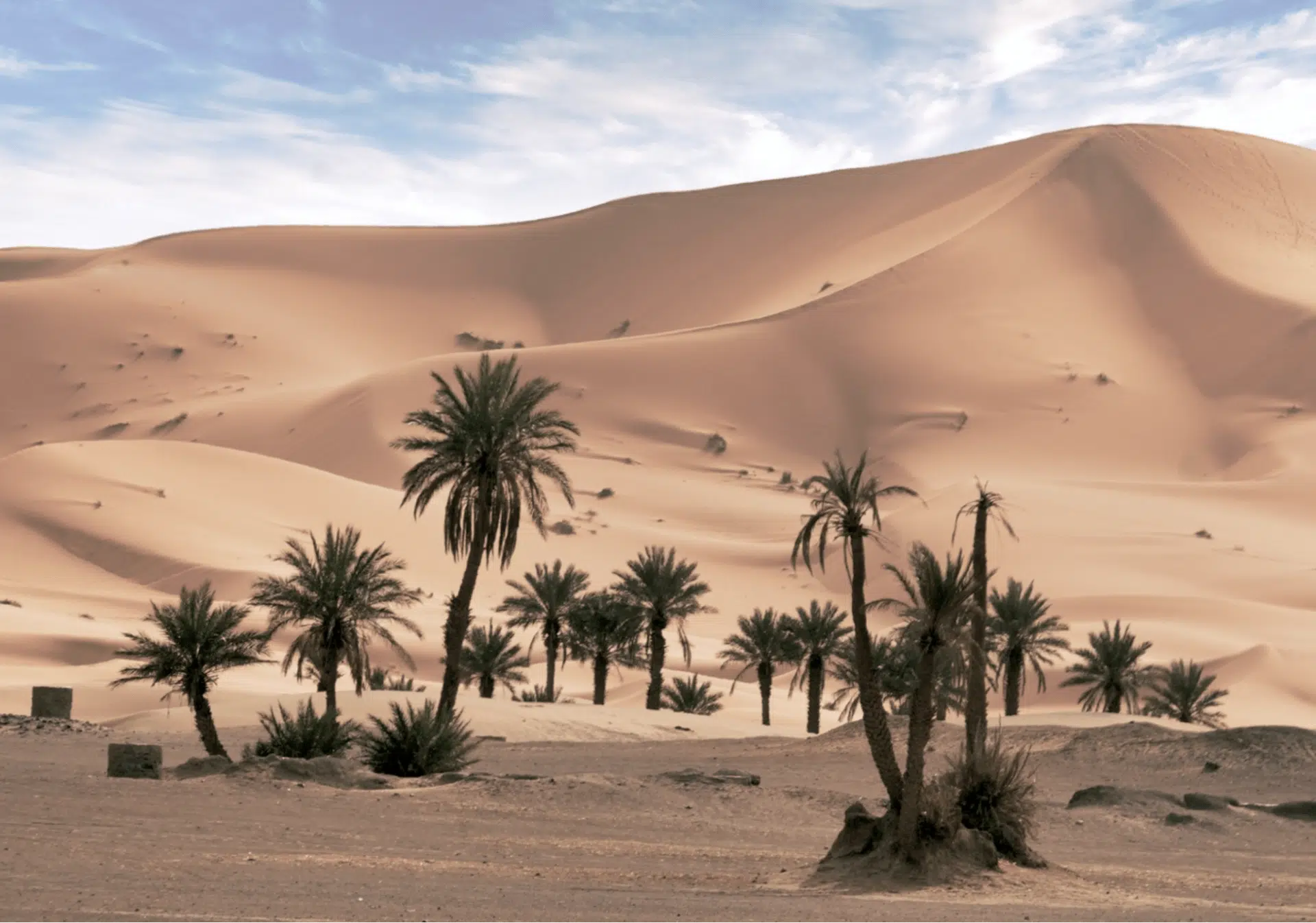 Morocco Circuit - Day 6