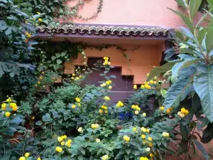 dades gorges inn with yellow flowers and greenery