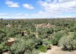 A desert landscape in Skoura, Morocco features several palm trees in the foreground and brown adobe buildings with a prominent central structure in the background, all under a partly cloudy sky. Experience this picturesque scene ona tour with Open Doors Morocco.