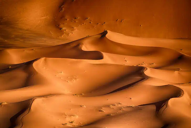 Moroccan Sahara Dunes