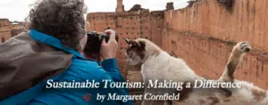 Traditional Moroccan dessert village with a person taking a photo of a cat.