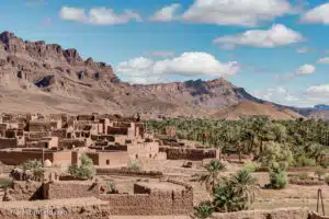 A desert village with mud-brick buildings is set against a backdrop of rocky mountains under a partly cloudy sky. Palm trees and scattered vegetation are seen in the foreground, capturing the essence of Tamnougalt that you can experience on the South of Morocco tour by Open Doors Morocco.