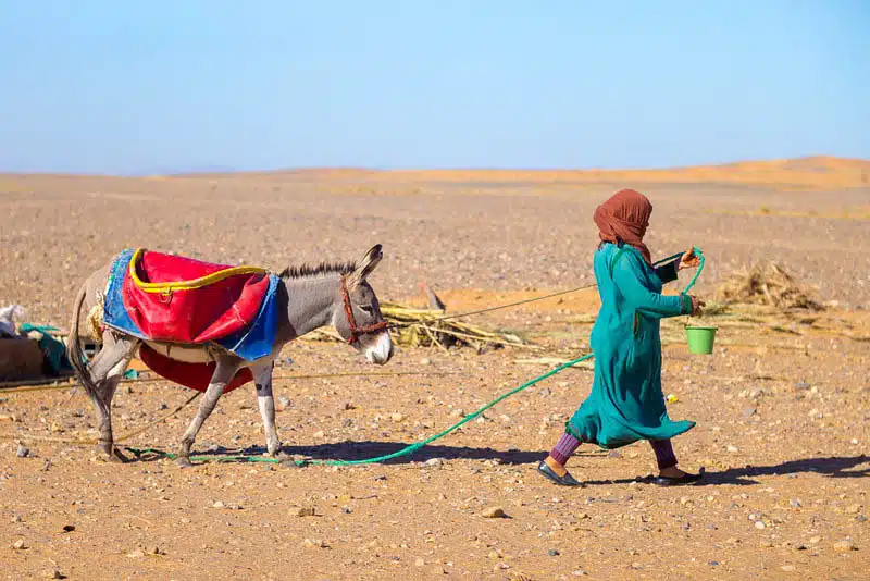 Nomads in Sahara