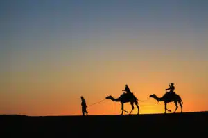 A tour guide leading a group of camels through the picturesque landscape of a desert in Morocco at sunset