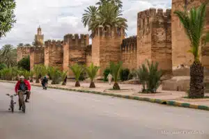 An ancient, fortified wall with crenellations runs alongside a road lined with palm trees and greenery under a cloudy sky, inviting travelers to explore its history. Open Doors Morocco offers private tours that let you experience the magic of this iconic scenery firsthand.