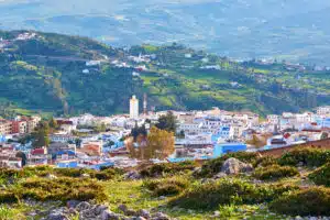 aerial view of the blue city