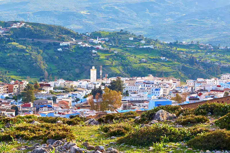aerial view of the blue city