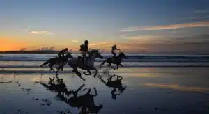 An image of 3 riders on horses riding through the picture landscape of Essaouira in Morocco at sunset