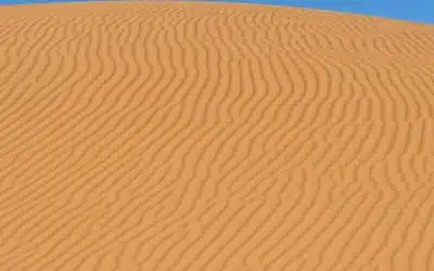 Artistry of the Sahara