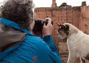 A person taking a picture of a cat in front of a background of traditional Moroccan dessert village