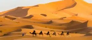 A tour guide leading a group of tourists on camelbacks through the picturesque landscape of a desert in Morocco