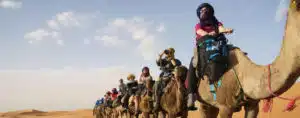a tour guide on a camel leading a group of tourists on camelbacks through a desert on one of Morocco's best tours