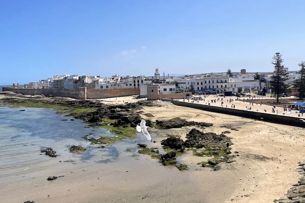 the Medina in Essaouira, one of Morocco's most popular historical sites, seen from the beach