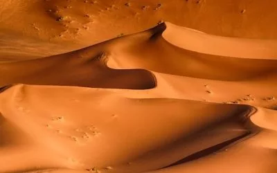 From Desert to Sea: Diverse Landscapes of Morocco