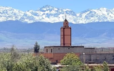 Day Trips from Marrakech: Exploring Beyond the City