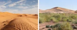 two side-by-side pictures, the first one taken in the dunes of Erg Chebbi and the other one in Erg Chigaga - the two of the most famous areas of the Moroccan Sahara desert