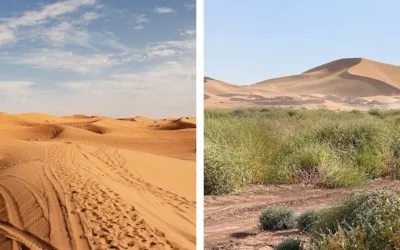 Morocco Desert Adventures: Erg Chebbi vs Erg Chigaga