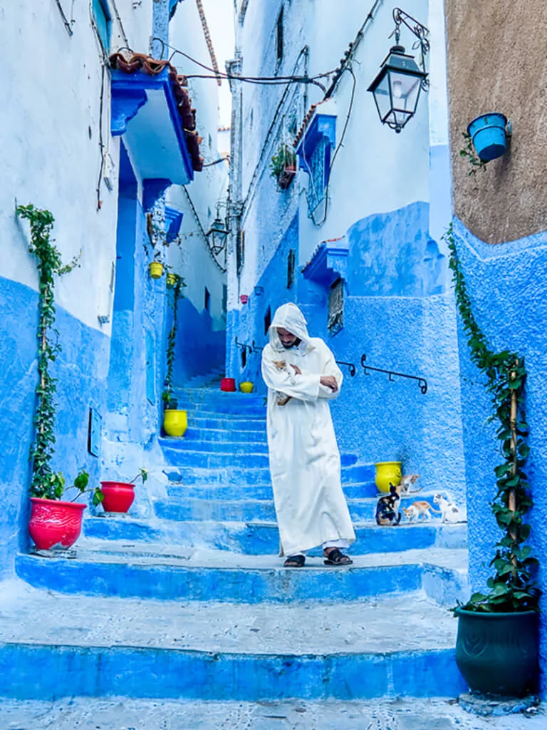 a Moroccan man in white clothing walking down the stairs in the blue city of Chefchaouen holding a cat