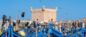the port of Essaouira with docked boats in the foreground and the medieval city walls in the background