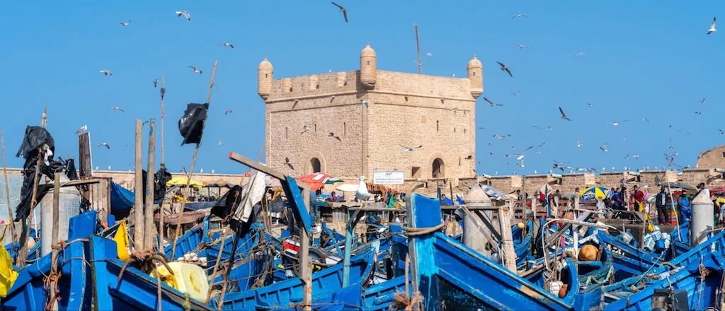 the port of Essaouira with docked boats in the foreground and the medieval city walls in the background