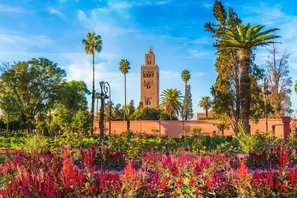 a lush garden with red flowers in the foreground and the Koutoubia Mosque of Marrakech in the background