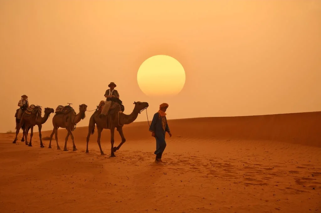 A local tour guide leading a couple on camelbacks through the Sahara desert with the sun setting in the background.