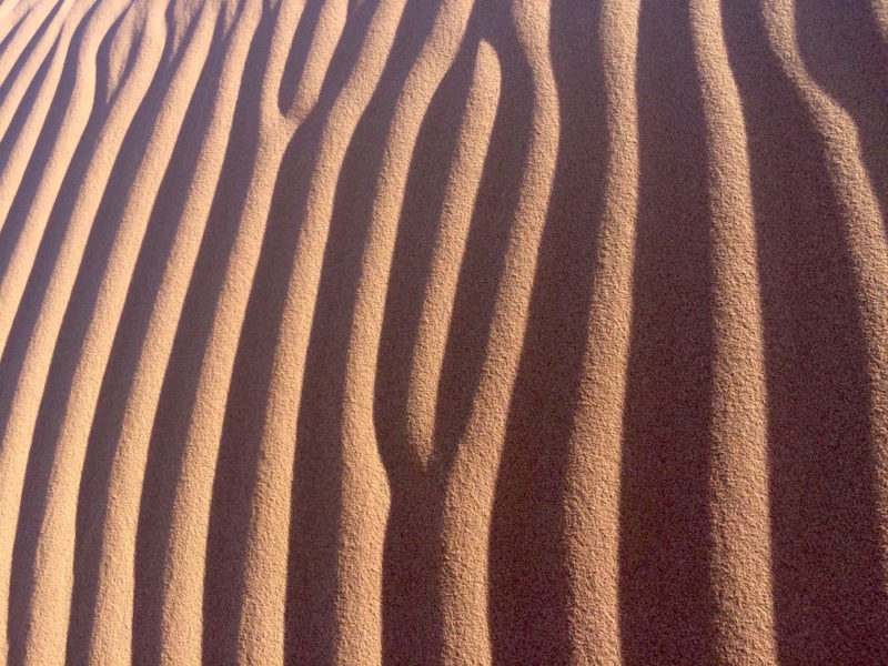 Aristry of Sahara - sand patterns