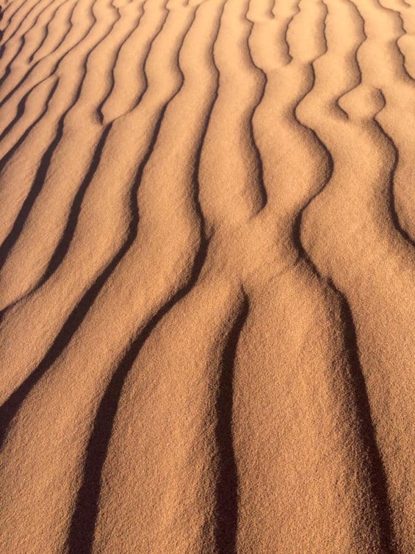 Artistry of the Sahara - sand patterns